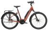 Trek District+ 4 Lowstep M Pennyflake 725WH